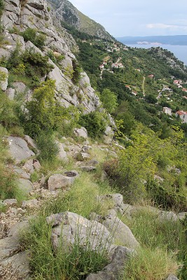 C35844 13-06-2016 Omiš.jpg